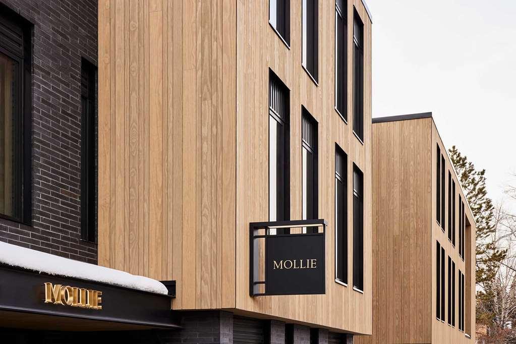 Hotel Mollie Aspen Exteriér fotografie